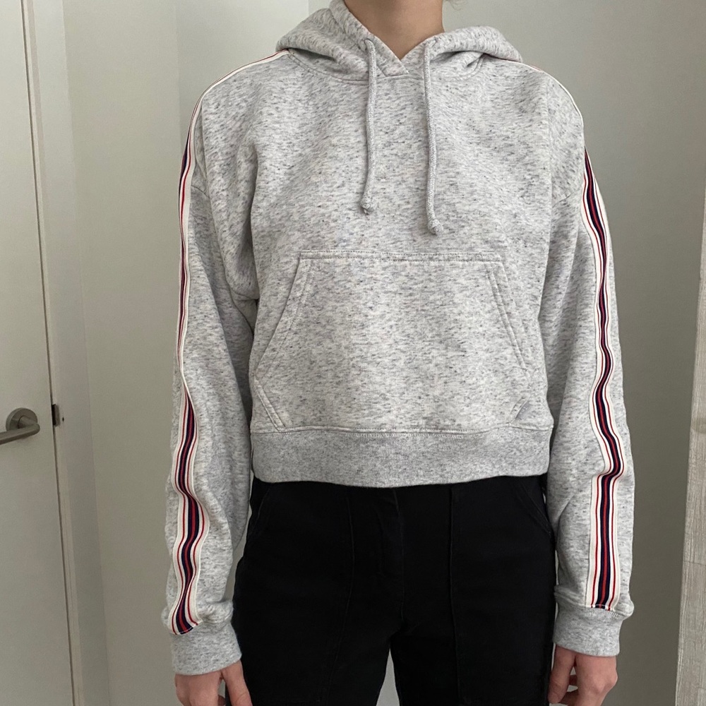 Aritzia TNA Iconic cropped hoodie